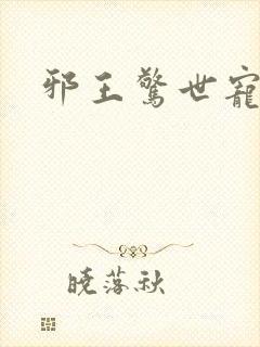 邪王惊世宠妃