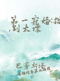 第一宠婚:总裁,别太坏