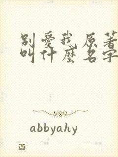别爱我原著小说叫什么名字