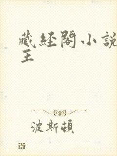 藏经阁小说网版主