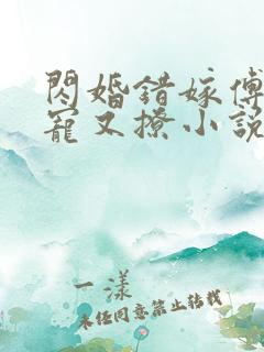 闪婚错嫁傅爷又宠又撩小说