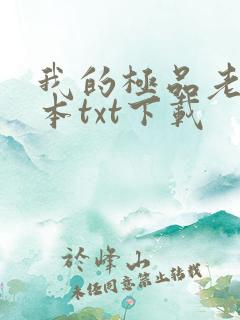 我的极品老婆完本txt下载