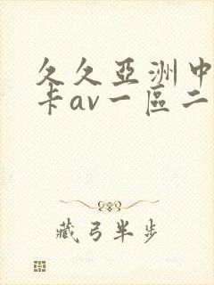 久久亚洲中文不卡av一区二区
