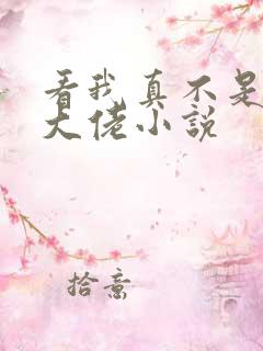 看我真不是女装大佬小说