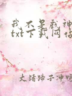 我不是戏神小说txt下载网站
