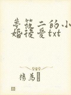 梦筱二的小说先婚后爱txt