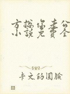 方总你老公没了小说免费全文阅读