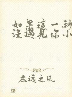 如果这一秒,我没遇见你小说看