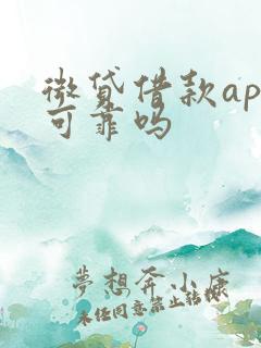 微贷借款app可靠吗