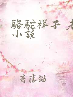 骆驼祥子 老舍小说