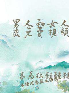 男人和女人爽爽爽免费视频