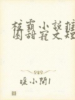 校霸小说推荐校园甜宠文短篇