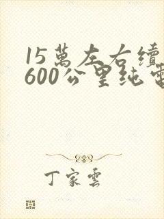 15万左右续航600公里纯电动汽车