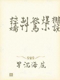 控制欲爆棚的病娇竹马小说免费阅读