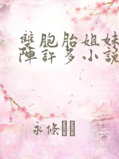 双胞胎姐妹齐上阵许多小说说免费