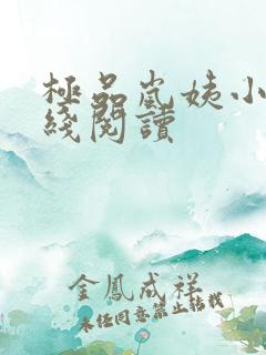 极品岚姨小说在线阅读