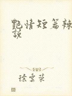 艳情短篇辣文小说