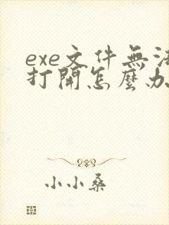 exe文件无法打开怎么办