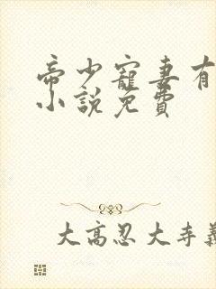 帝少宠妻有点甜小说免费
