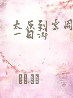 太原到云冈石窟一日游