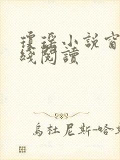 琼瑶小说窗外在线阅读