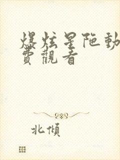 爆炫星陀动漫免费观看