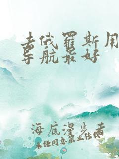 去俄罗斯用什么导航最好
