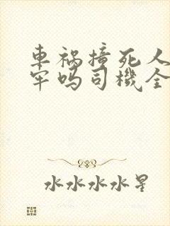 车祸撞死人要坐牢吗司机全责