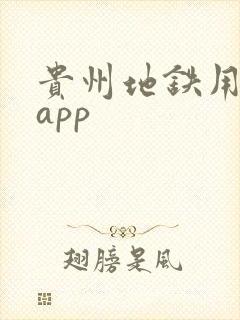 贵州地铁用什么app