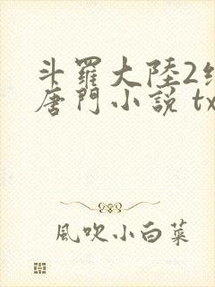 斗罗大陆2绝世唐门小说 txt