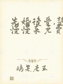 先婚后爱,楚少慢慢来免费完整版