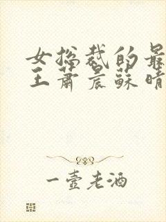 女总裁的最强兵王萧晨苏晴