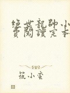 绝世龙帅小说免费阅读完本