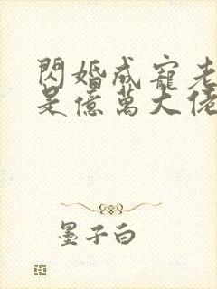 闪婚成宠老公竟是亿万大佬