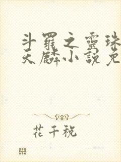 斗罗之灵珠神剑天麟小说免费阅读无弹窗