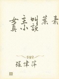 女主叫叶素的修真小说