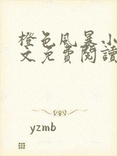 橙色风暴小说全文免费阅读无弹窗