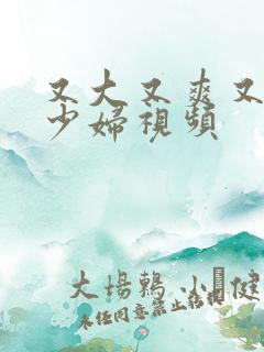 又大又爽又紧的少妇视频