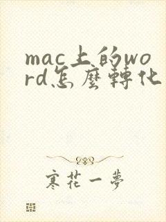 mac上的word怎么转化成pdf