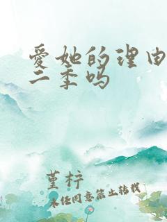 爱她的理由有第二季吗