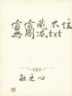 偷偷藏不住番外无删减txt