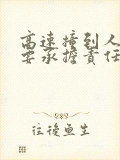 高速撞到人司机要承担责任吗