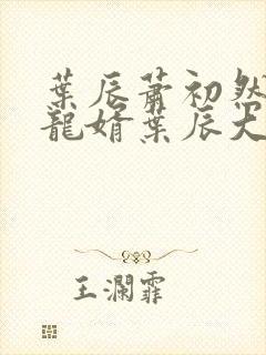 叶辰萧初然上门龙婿叶辰大结局