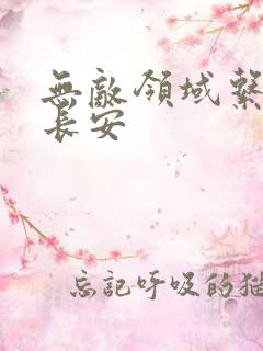 无敌领域系统陈长安