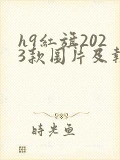 h9红旗2023款图片及报价