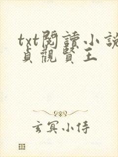txt阅读小说贞观贤王