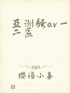 亚洲骚av一区二区
