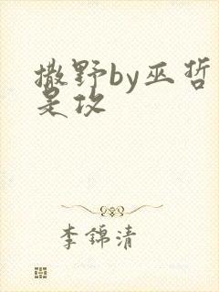 撒野by巫哲谁是攻