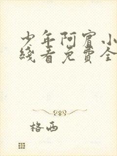 少年阿宾小说在线看免费全文无弹窗