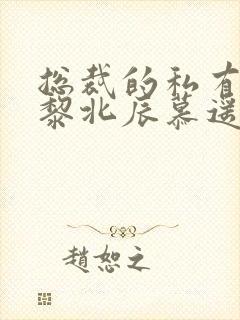 总裁的私有宝贝黎北辰慕遥